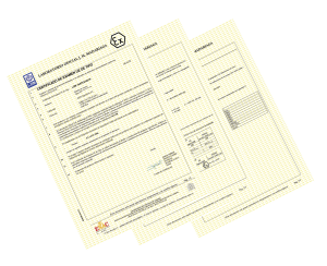 Certificados de examen UE de tipo